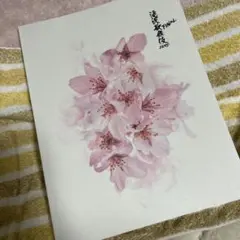 滝沢歌舞伎ZERO FINAL パンフレット