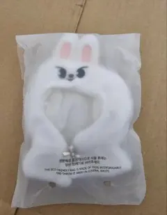 StrayKids SKZOO Leebit 10cmぬい 新品、未開封 - メルカリ