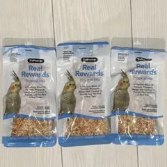 Item thumbnail for item 8ce15eb8-58c3-4a38-9645-085194b4a05f