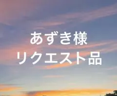 あずき様 リクエスト 2点 まとめ商品