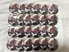 東雲彰人 グリ缶 グリッター缶バッジ 43B 24点