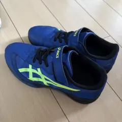 asics 安全靴 ブルー(27cm) 値下げ可能 - メルカリ