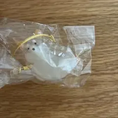 うちの子のけだまだま 柴犬