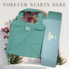 PRADA ストライプトートバッグ ノベルティ ブラウン - メルカリ