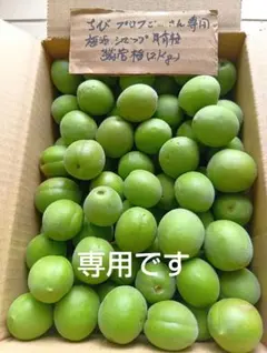 ちびプロフご一読くださいm(_ _)m様専用のシロップ用青梅(鶯宿)2kgその2