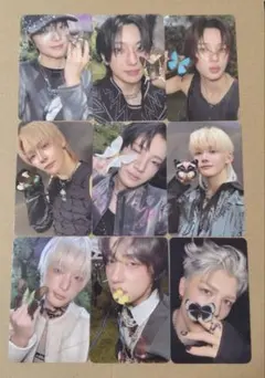 &TEAM Back to Life ROAR ver.トレカ セット