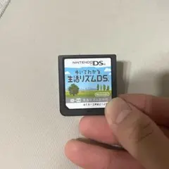 NintendoDS 歩いてわかる生活リズムDS