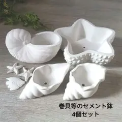 ☆巻貝 ひとで セメント鉢4個セット モルタル セメント鉢 多肉 サボテン 観葉