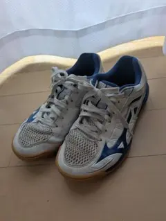 Item thumbnail for item 86659252-f07a-498e-988a-80f992c30b21