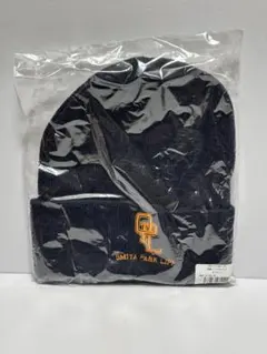 Item thumbnail for item f9afb201-31fe-4214-8bde-b18d9343fe70