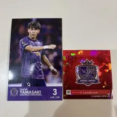 2026年最新】ルヴァンカップの人気アイテム - メルカリ