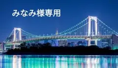 みなみ様専用