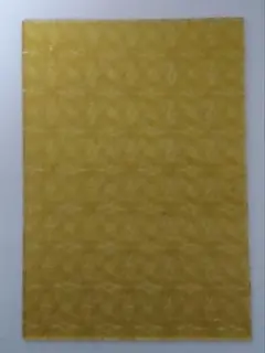 Item thumbnail for item 1c95daa9-31ab-418d-af42-3932d4f5dd99