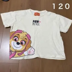 パウパトロール　スカイ　Tシャツ 110