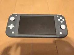 Nintendo Switch Lite 本体 グレー キャリングケース付