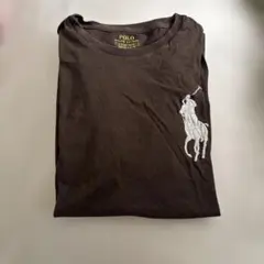POLO RALPH LAUREN Tシャツ