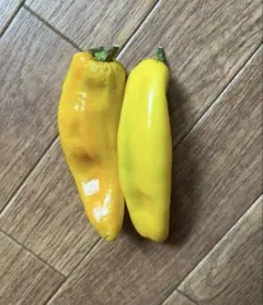 ゆうひ様 リクエスト 2点 まとめ商品