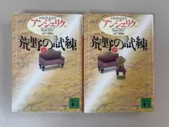 アンジェリク　14・15巻　「荒野の試練」　講談社文庫　定価各740円