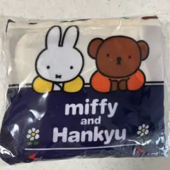 Item thumbnail for item bbac2d84-6df5-48c9-bf01-858d9fa5a3f1