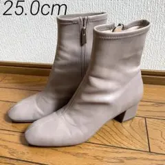 Item thumbnail for item 77067ace-d862-41ec-8ace-534e9497afd1