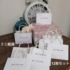ハンドメイドミニ紙袋　ホワイトシンプルＢ　12枚セット