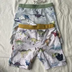 Item thumbnail for item 8f299d13-2987-4389-ada2-5258cf1be15e