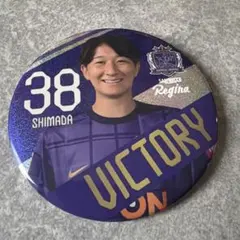 Item thumbnail for item b7d02eb8-2dd2-4edd-ad97-2c5e190556cf