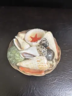 【新品】貝殻　セット