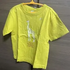 Item thumbnail for item 4010f5a1-8cd4-405a-9e6a-d8b95b621baa