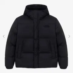 THE NORTH FACE RIVERTON ON BALL HOODIE