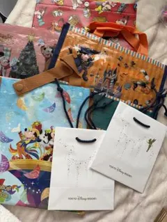 東京ディズニーリゾート ショップ袋 5枚セット