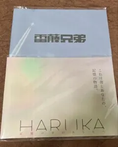 【未開封】King & Prince STARRING 雷藤兄弟 HARUKA