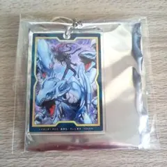 2026年最新】ycsj アクリルキーホルダーの人気アイテム - メルカリ