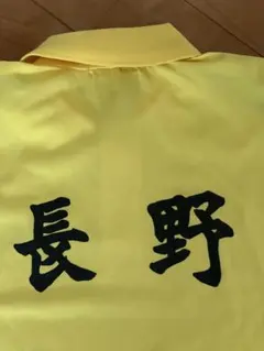 Item thumbnail for item 3c012ed3-964a-4db2-8f25-6c7665c1e535