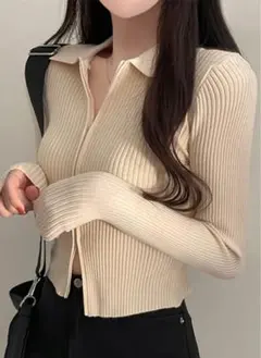 襟付きニット ニット