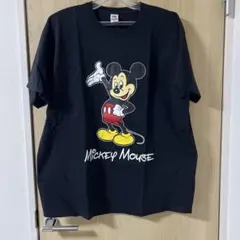 FRUIT OF THE LOOM x DISNEYxSECRETBASEのサムネイル