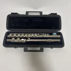 2026年最新】acme フルートの人気アイテム - メルカリ