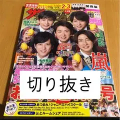 ザテレビジョン お正月超特大号 切り抜き