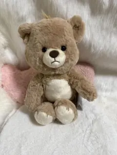Max Mara マックスマーラ テディベア ぬいぐるみ ベージュ 箱付き