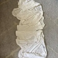 Item thumbnail for item 93549f8a-520b-42fa-acd6-1f51593ea297