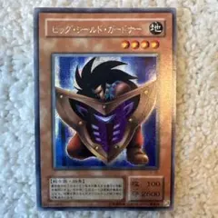 2026年最新】ビッグ・シールド・ガードナーの人気アイテム - メルカリ