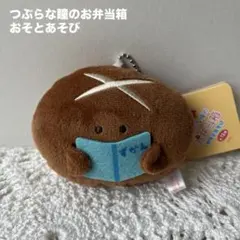 つぶらな瞳のお弁当箱 おそとあそび　しいたけ　ぬいぐるみマスコット