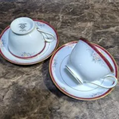 Noritake　ノリタケ　VILLA HAVEN　カップ＆ソーサー　２客