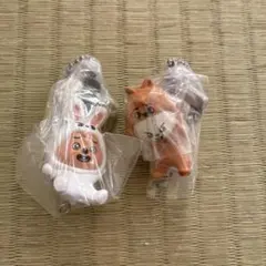 SKZOO つまんでつなげてますこっと　リービット　ハンクオッカ