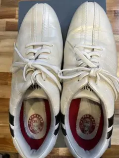 Item thumbnail for item 7caf5b34-a8af-45e7-8a4c-bb3b5c6ac914