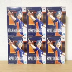 ハイキュー！！フィギュア 一本ナイッサー！！菅原孝支フィギュア24個