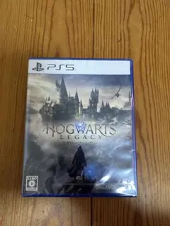 Hogwarts Legacy PS5