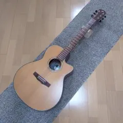 2025年最新】MORRIS B 12弦の人気アイテム - メルカリ