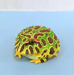 ベルツノガエル　マグネットのサムネイル