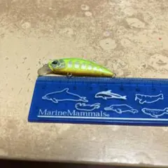 Item thumbnail for item 9408341b-94ff-4576-a7b5-d9eb5841db10